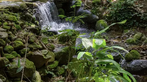 Chácara com cachoeira