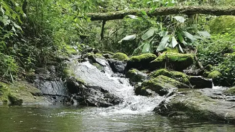 Chácara com cachoeira