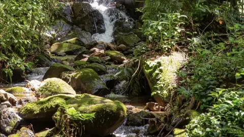 Chácara com cachoeira