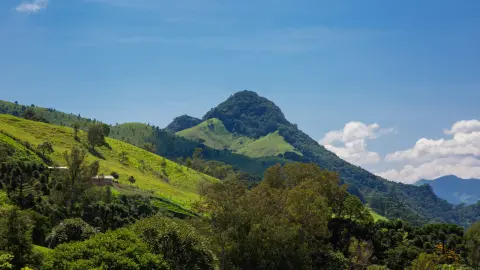 Chácara com cachoeira