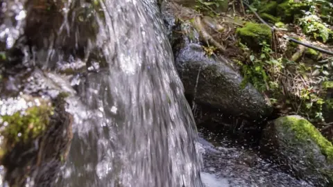 Chácara com cachoeira