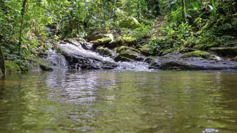 Chácara com cachoeira