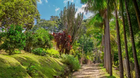 Chácara com cachoeira