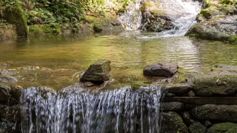 Chácara com cachoeira