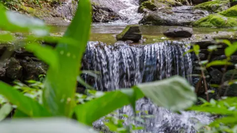Chácara com cachoeira
