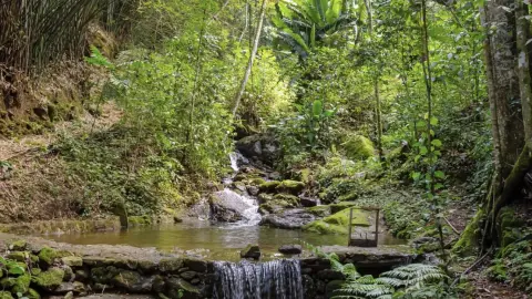 Chácara com cachoeira