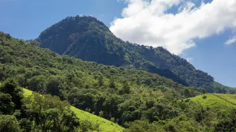 Chácara com cachoeira