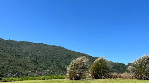 Casa - Gonçalves