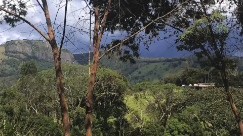 Casa - Gonçalves