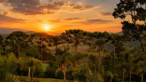 Sitio com Vista Panorâmica à Venda em São Bento