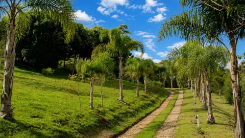 Sitio com Vista Panorâmica à Venda em São Bento