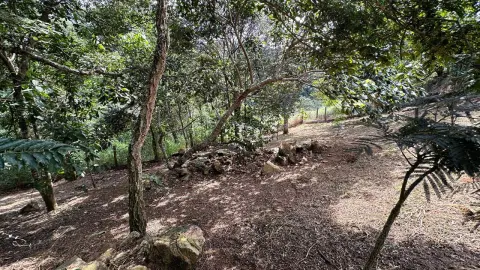 Chácara à venda – Conforto, natureza e privacidade em um só lugar