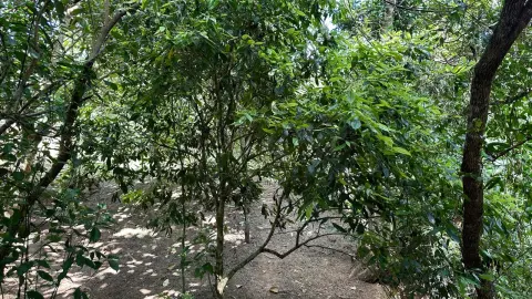 Chácara à venda – Conforto, natureza e privacidade em um só lugar