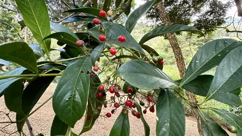 Chácara à venda – Conforto, natureza e privacidade em um só lugar