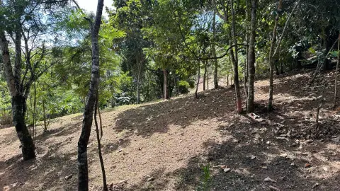 Chácara à venda – Conforto, natureza e privacidade em um só lugar