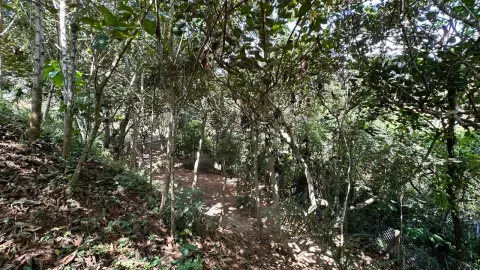 Chácara à venda – Conforto, natureza e privacidade em um só lugar