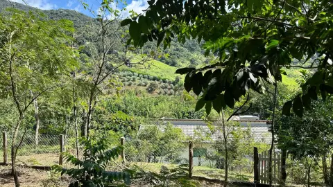 Chácara à venda – Conforto, natureza e privacidade em um só lugar
