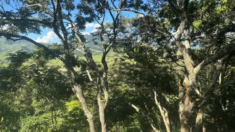 Chácara à Venda em Gonçalves – Vista privilegiada para a Pedra do Baú