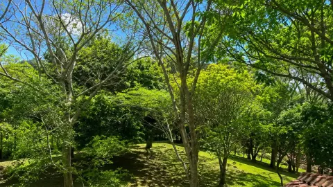 Casa Encanto da Mantiqueira