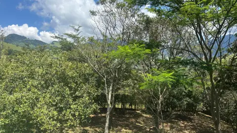 Casa Encanto da Mantiqueira