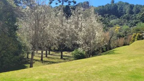 Apartamento Duplex - Merano