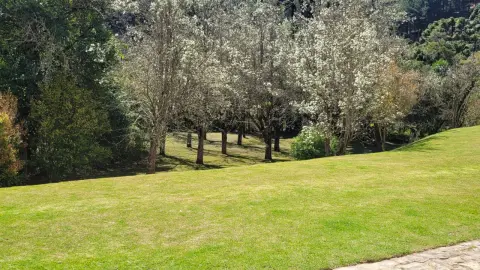 Apartamento Duplex - Merano